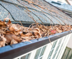 Clogged gutters on a home in need of Gutter Cleaning, a service that Sound Cleaning Resources provides