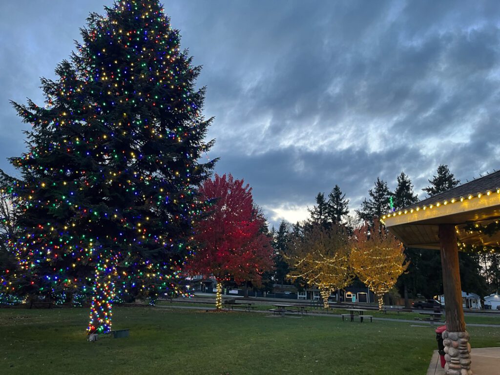 Park trees and gazebo decorated with holiday lighting