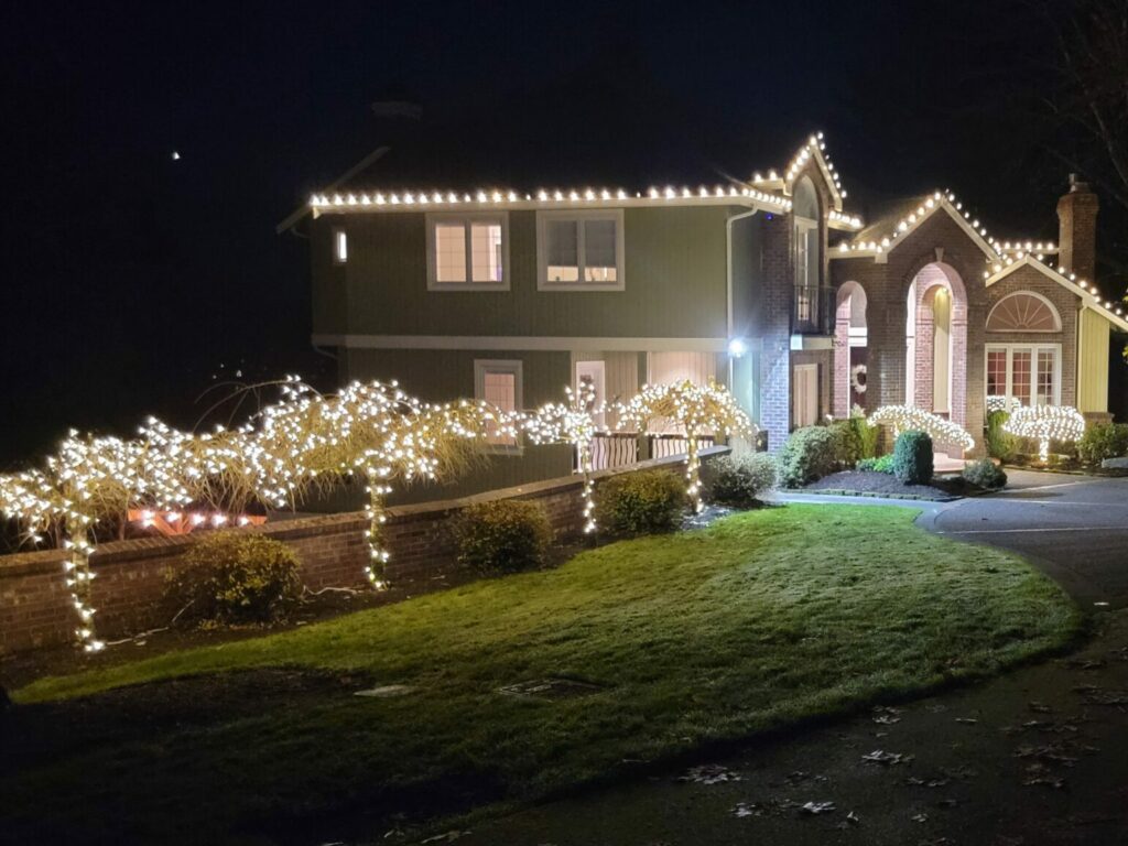 Trees and home decorated with Christmas lights